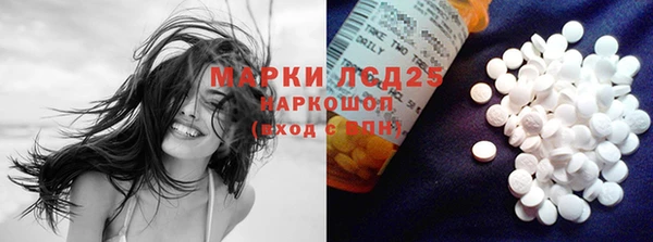 ПСИЛОЦИБИНОВЫЕ ГРИБЫ Абаза