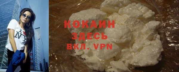ПСИЛОЦИБИНОВЫЕ ГРИБЫ Абаза