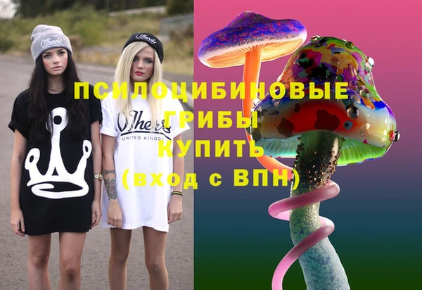 ПСИЛОЦИБИНОВЫЕ ГРИБЫ Абаза