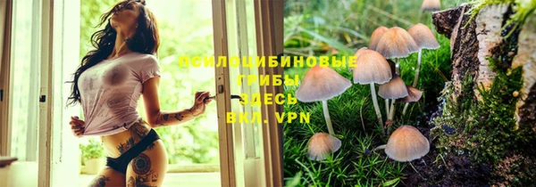 МДПВ Абинск