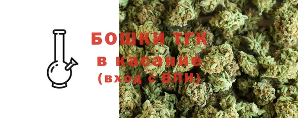 ПСИЛОЦИБИНОВЫЕ ГРИБЫ Абаза