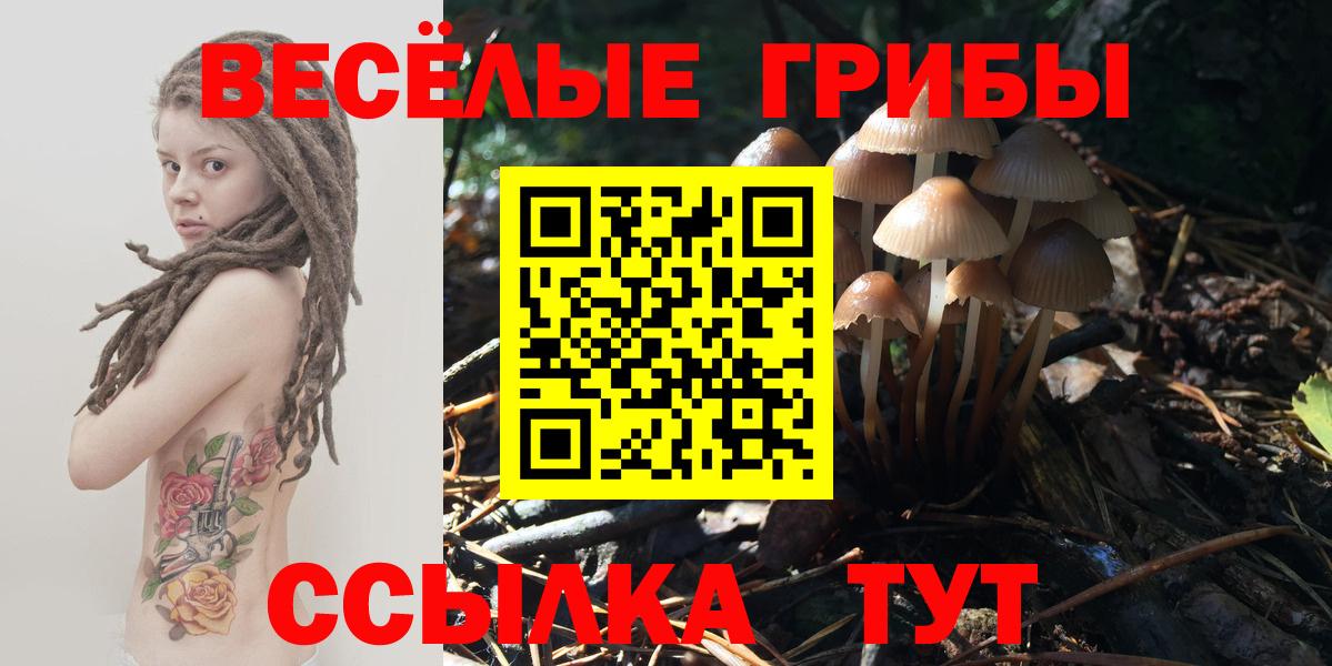 Псилоцибиновые грибы мухоморы Кострома